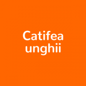 Catifea unghii (28)